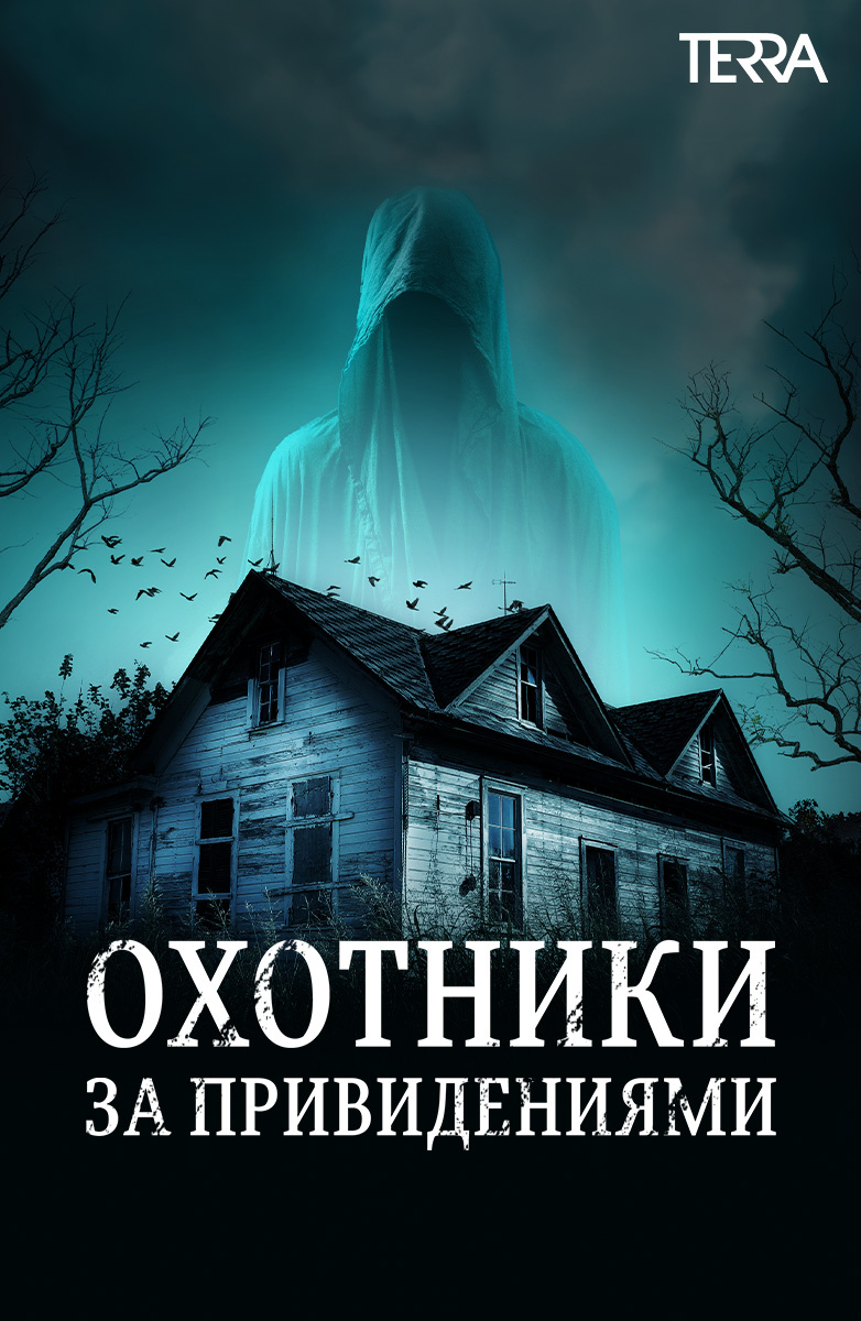 Приложение призрак. Камера для обнаружения призраков. Приложение призрак для сигнализации 8xl. Приложение с изображением приведения. Программа привидения.