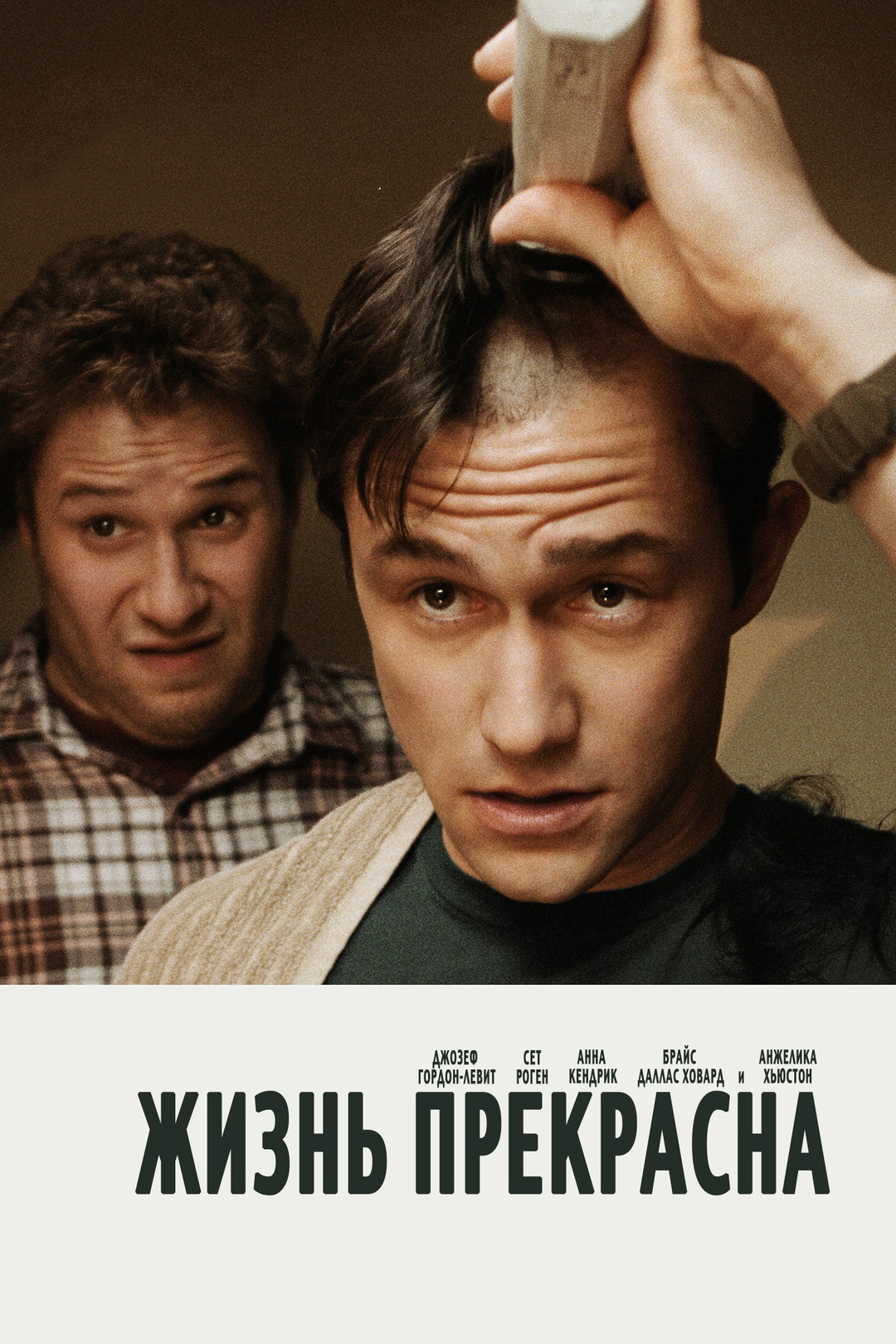 Жизнь прекрасна (фильм, 2011)