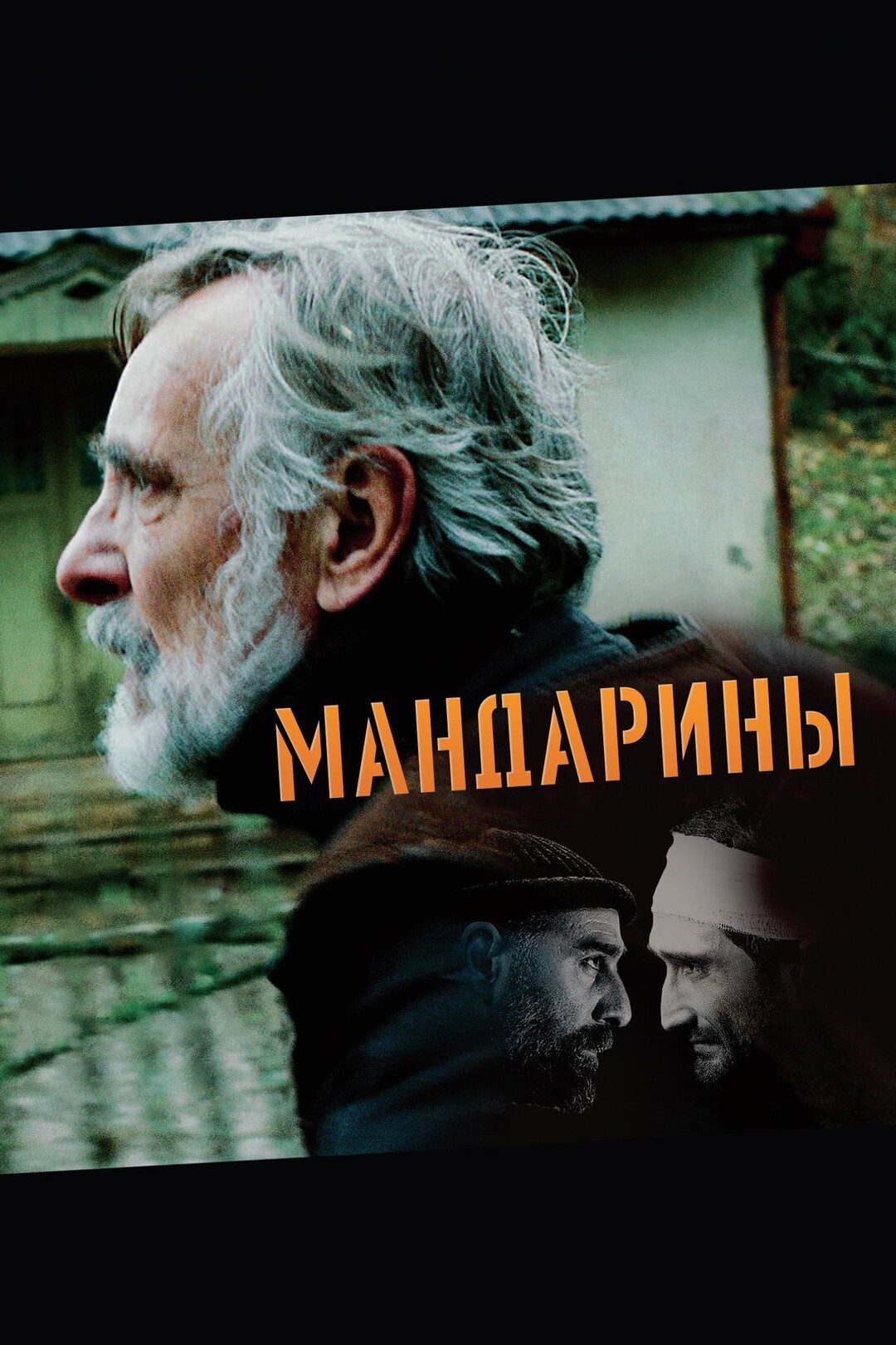Мандарины (фильм, 2013)
