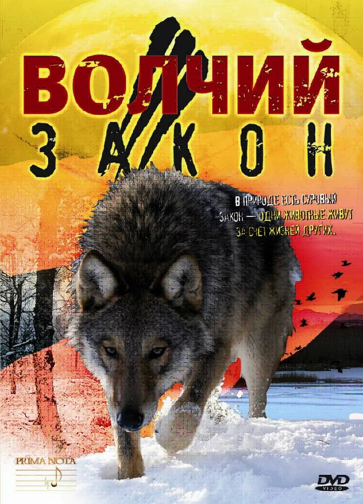 Волчий закон (фильм, 2008)