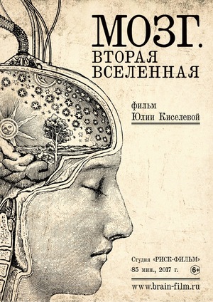 Фільм «Мозг. Вторая Вселенная» (2017)