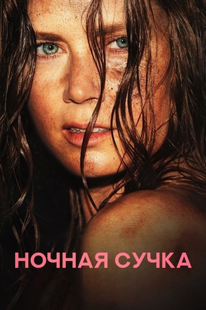 Фильм «Ночная сучка» (2024)