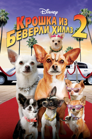 Фильм «Крошка из Беверли-Хиллз 2» (2010)