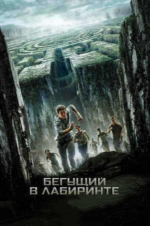 Фильм «Бегущий в лабиринте» (2014)