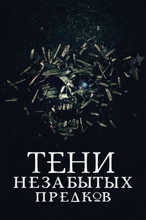 Фильм «Тени незабытых предков» (2013)