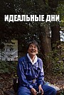 Идеальные дни