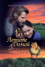 Фильм «Летите домой» (1996)