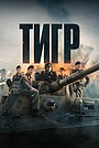 Тигр