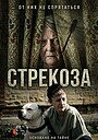 Стрекоза