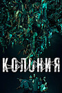 Колония