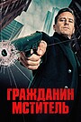 Гражданин-мститель