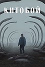 Kitoboy