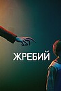 Жребий