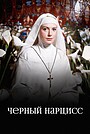 Чёрный нарцисс