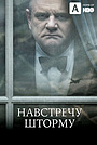 Навстречу шторму
