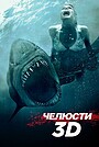 Челюсти 3D