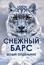 Сніговий барс. Білий відлюдник
