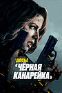Досье «Чёрная канарейка»